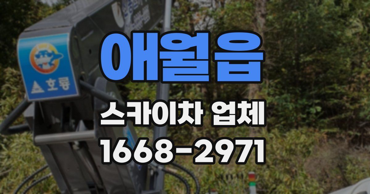 애월읍 스카이차 업체