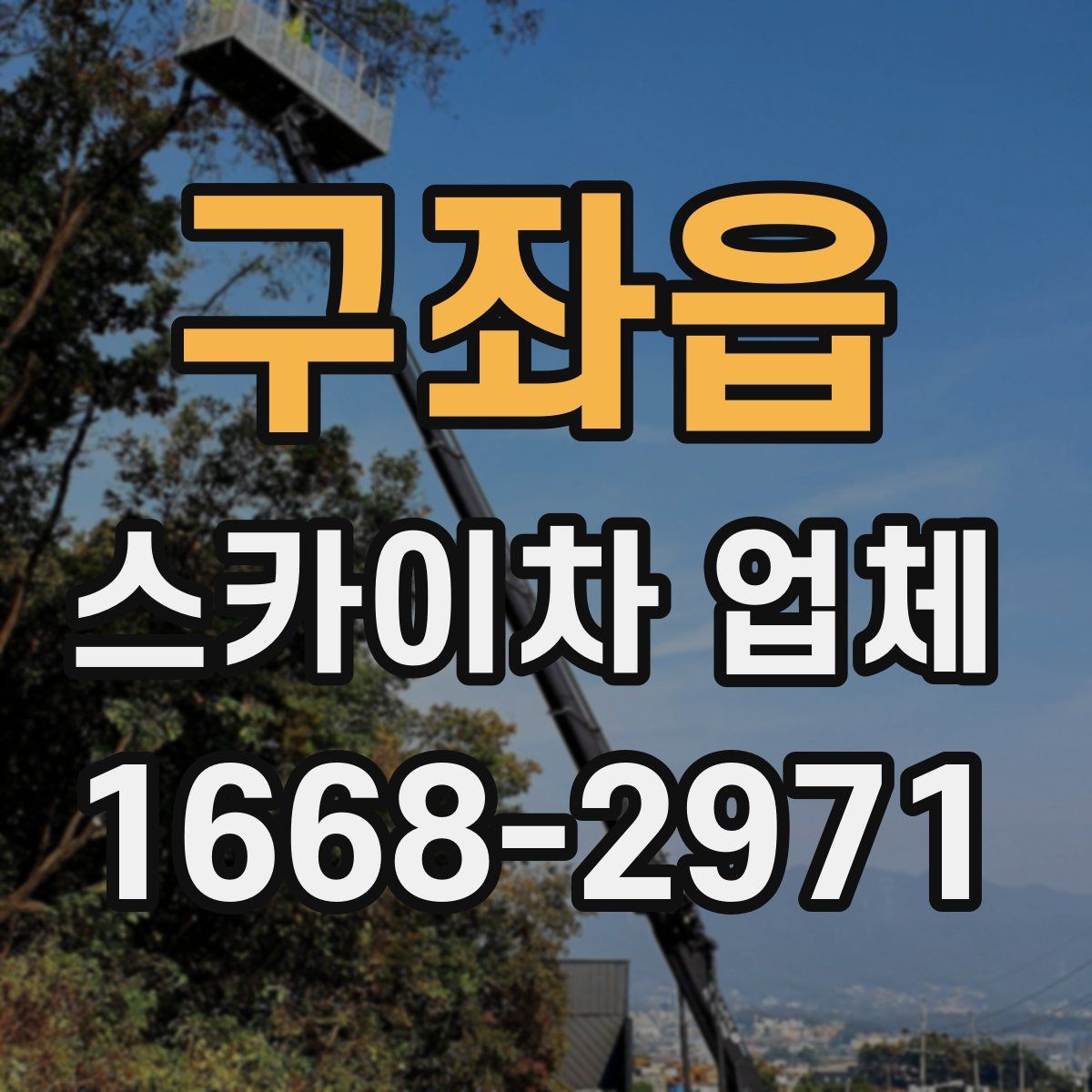 구좌읍 스카이차 업체