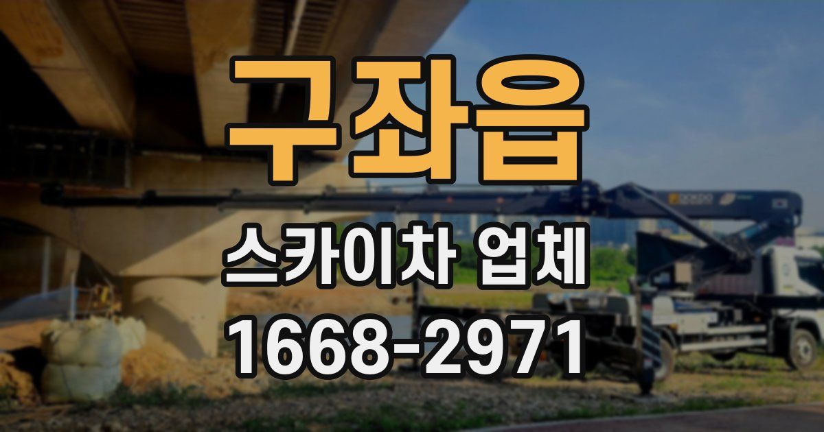 구좌읍 스카이차 업체