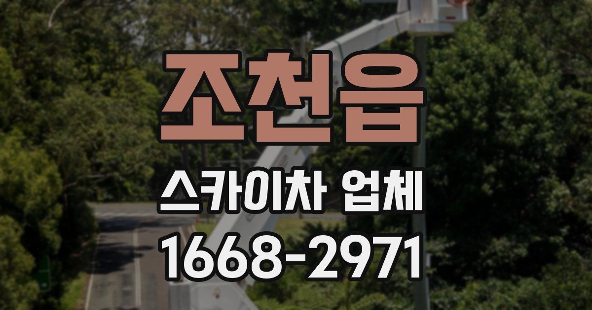 조천읍 스카이차 업체
