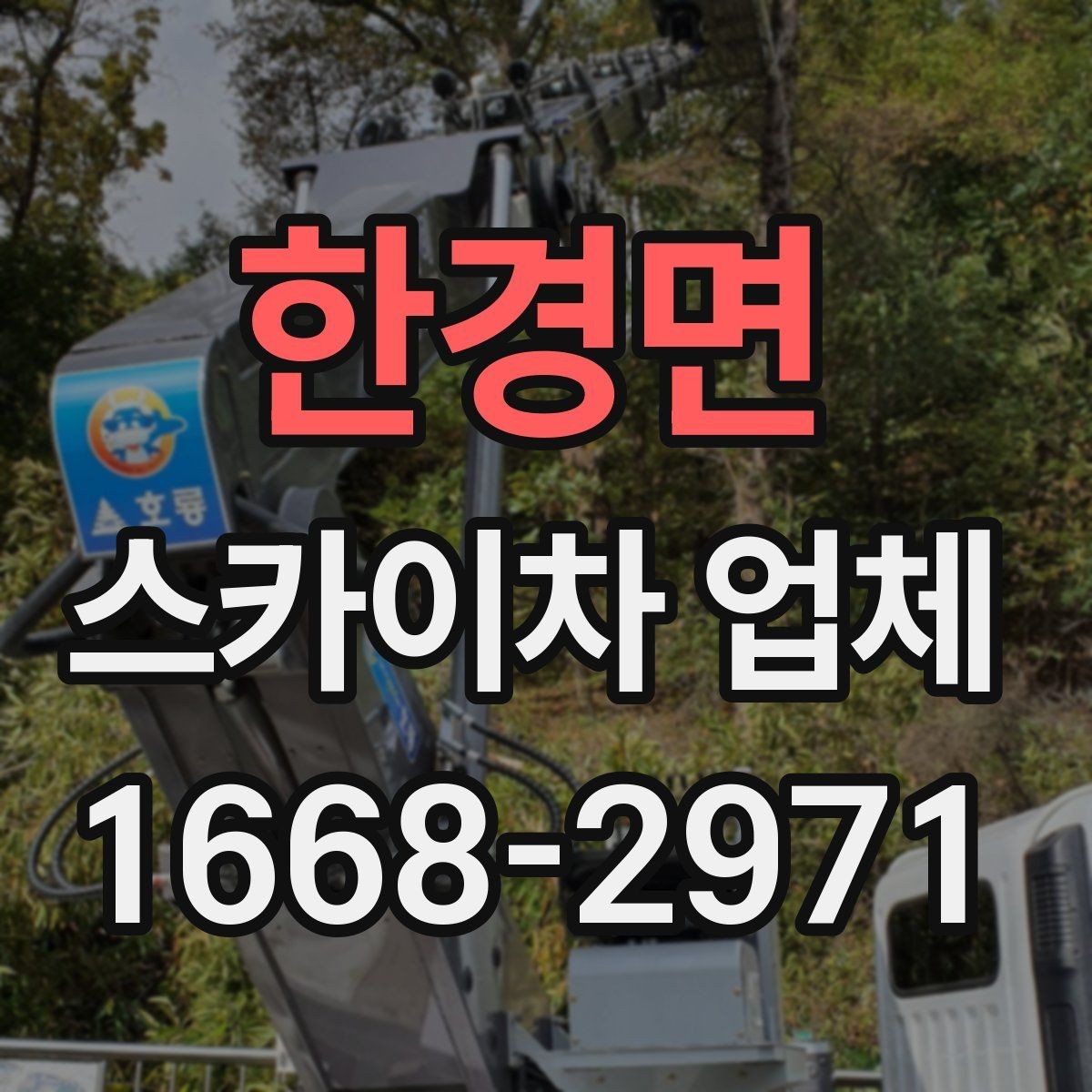 한경면 스카이차 업체 후기 볼 때 함께 봐야 할 것