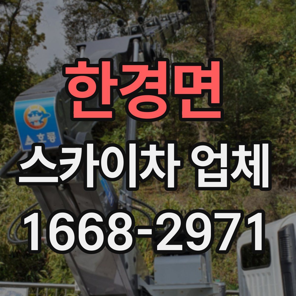 한경면 스카이차 업체