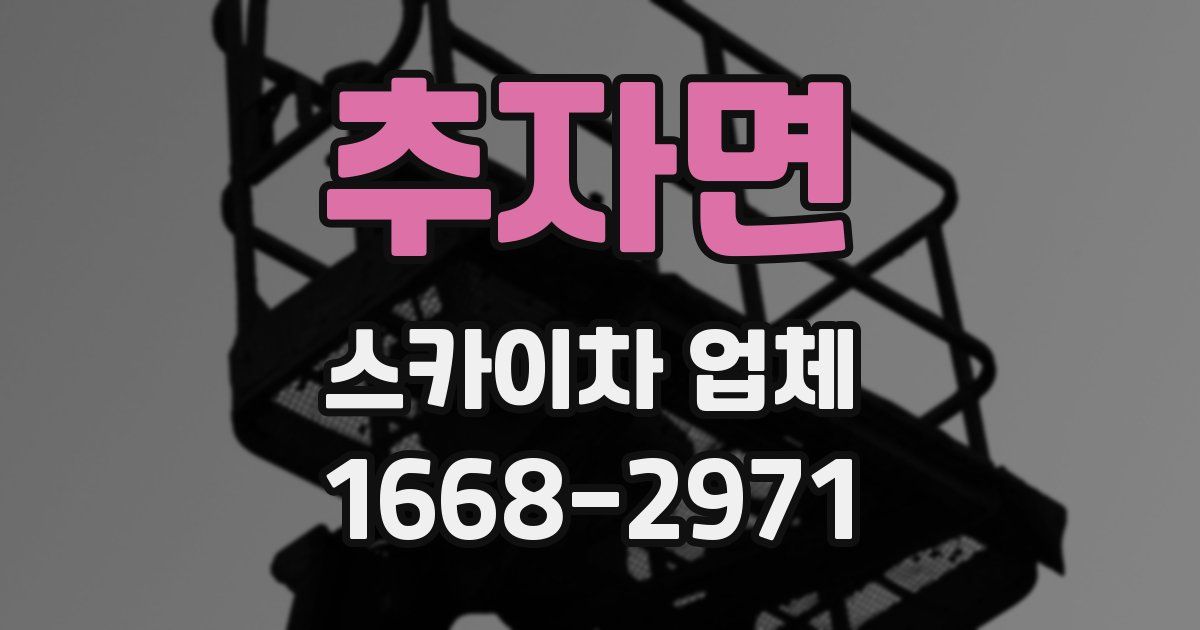 추자면 스카이차 업체
