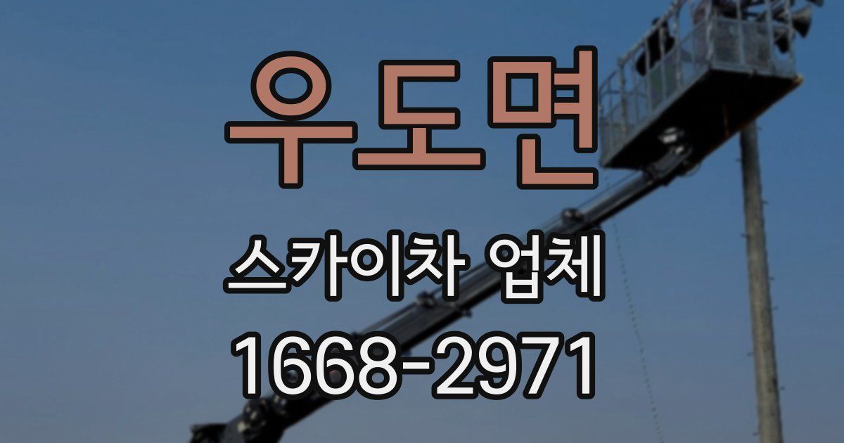 우도면 스카이차 업체