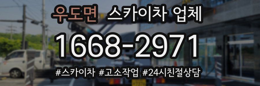 우도면 스카이차 업체