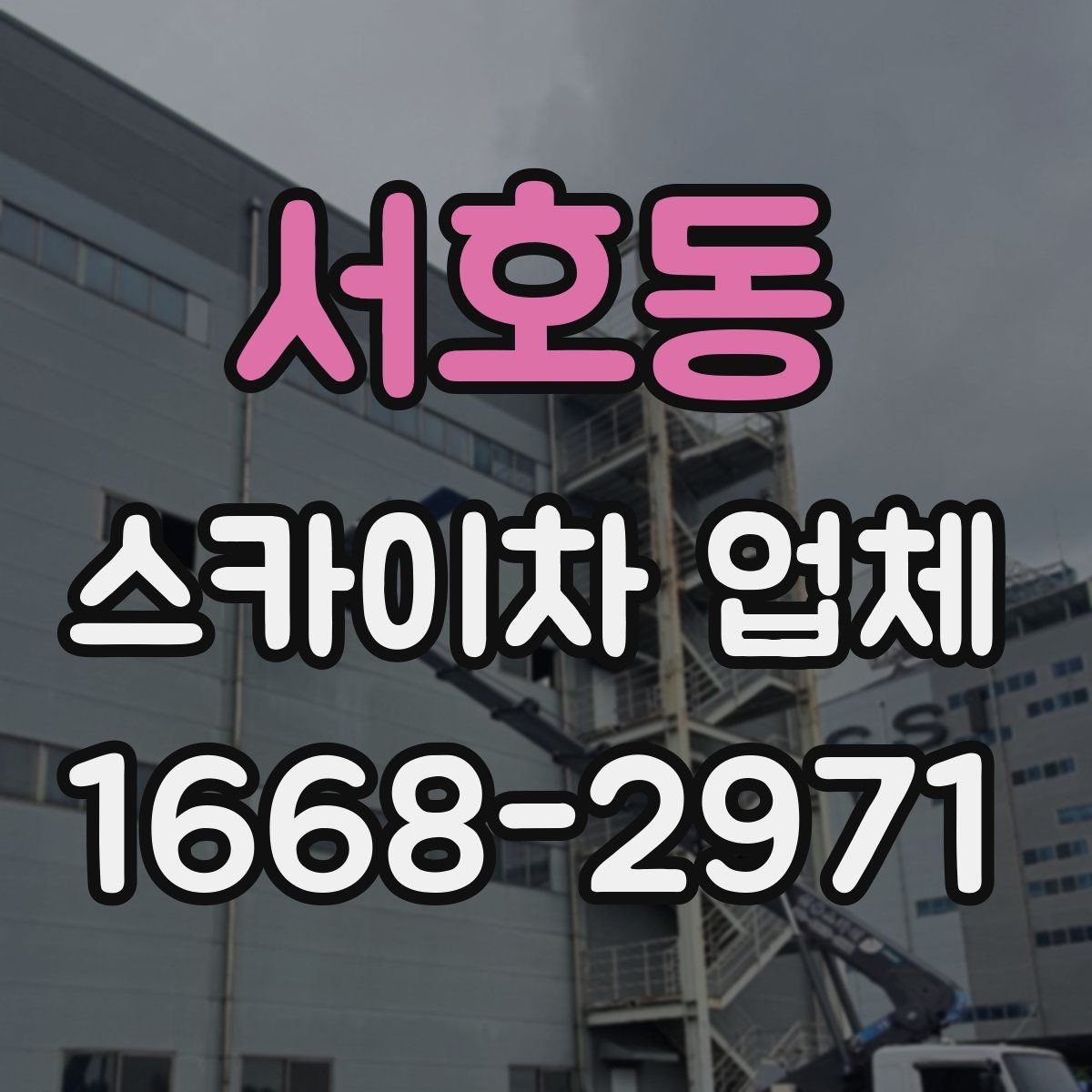 서호동 스카이차 업체 선택 전 확인할 기준