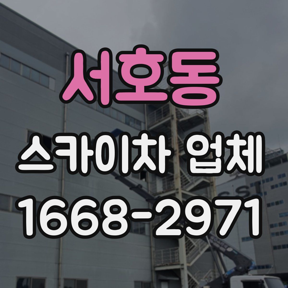 서호동 스카이차 업체