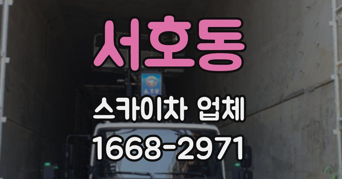 서호동 스카이차 업체