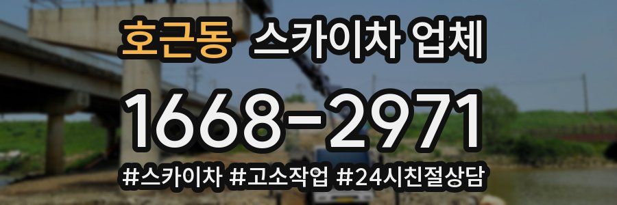 호근동 스카이차 업체