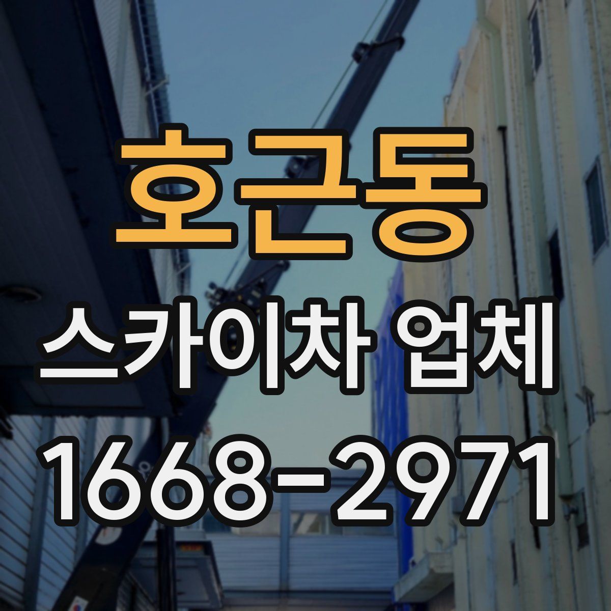 호근동 스카이차 업체