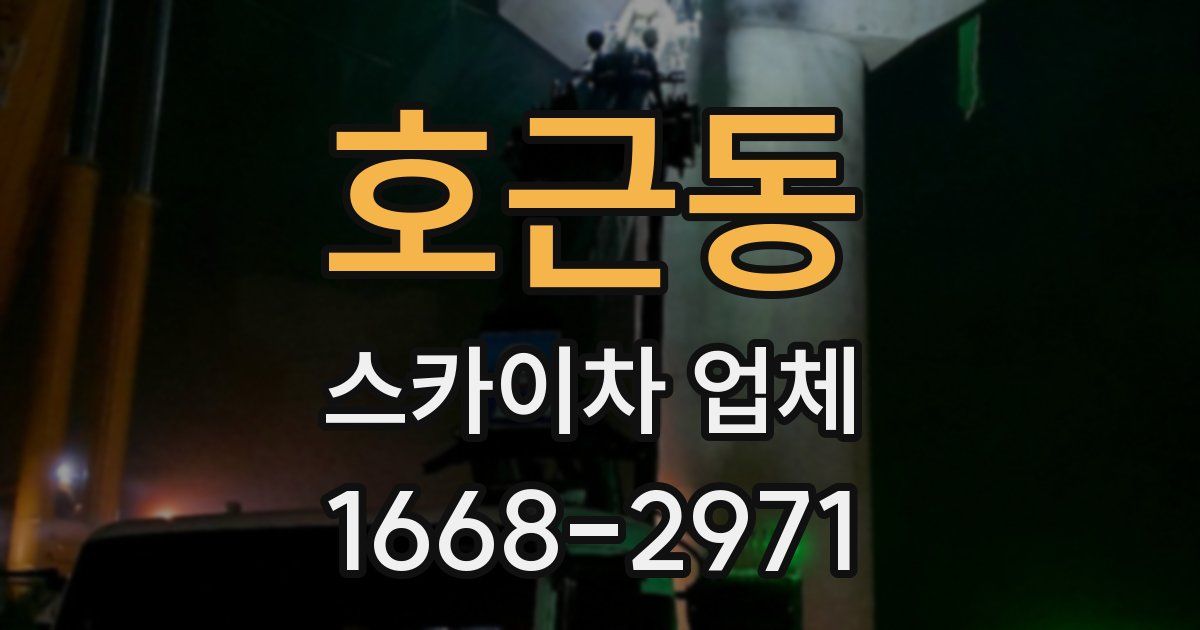 호근동 스카이차 업체