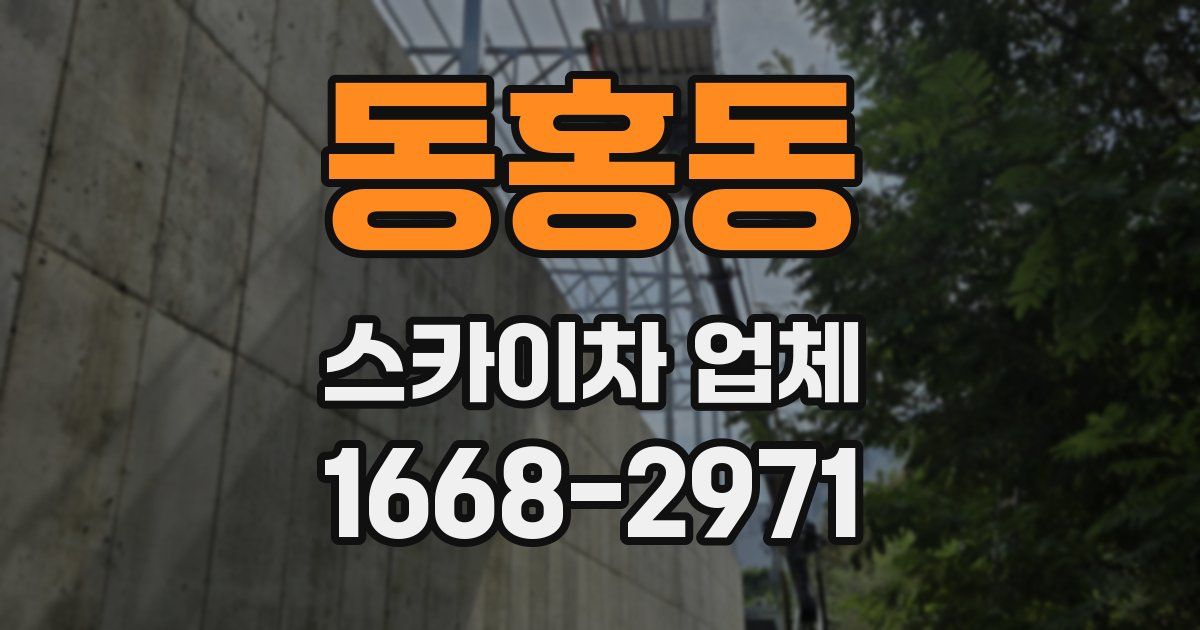 동홍동 스카이차 업체