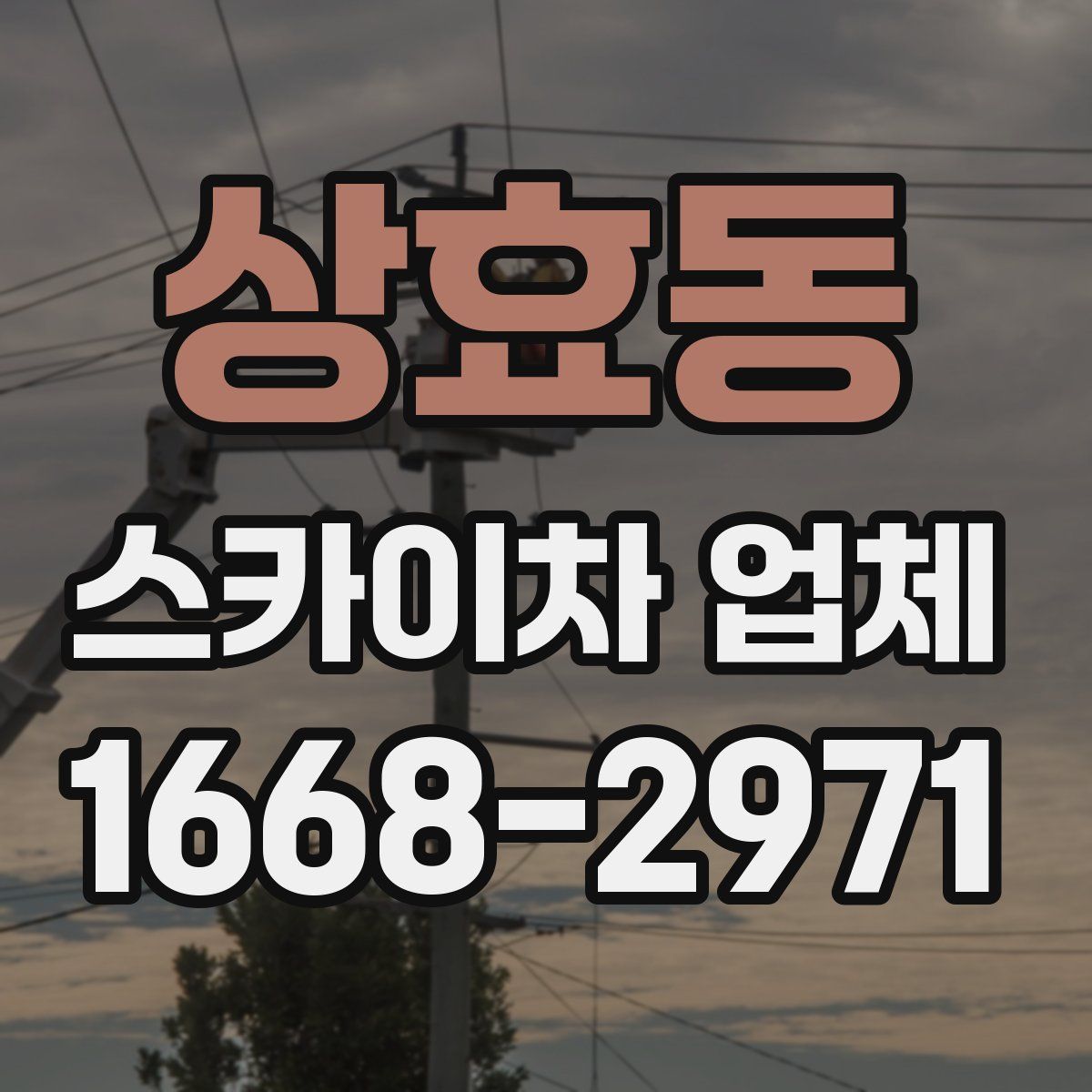 상효동 스카이차 업체