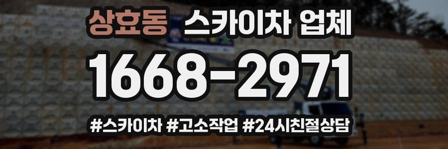 상효동 스카이차 업체