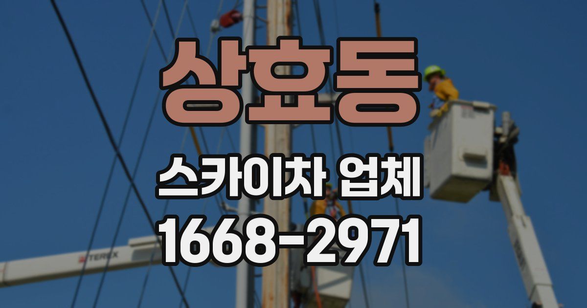 상효동 스카이차 업체