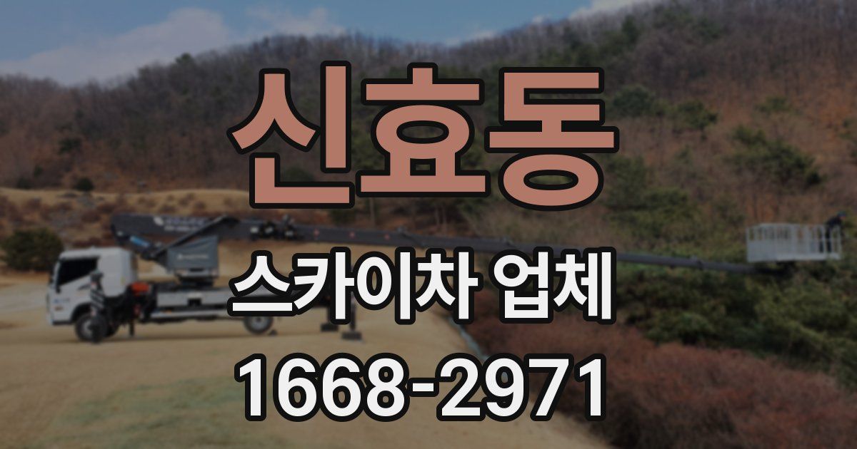 신효동 스카이차 업체