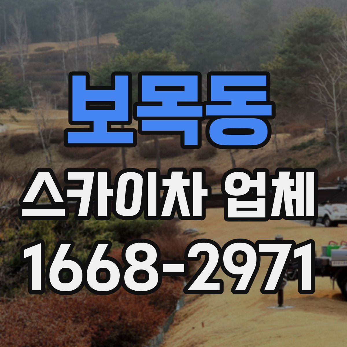보목동 스카이차 업체