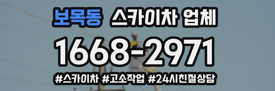 보목동 스카이차 업체