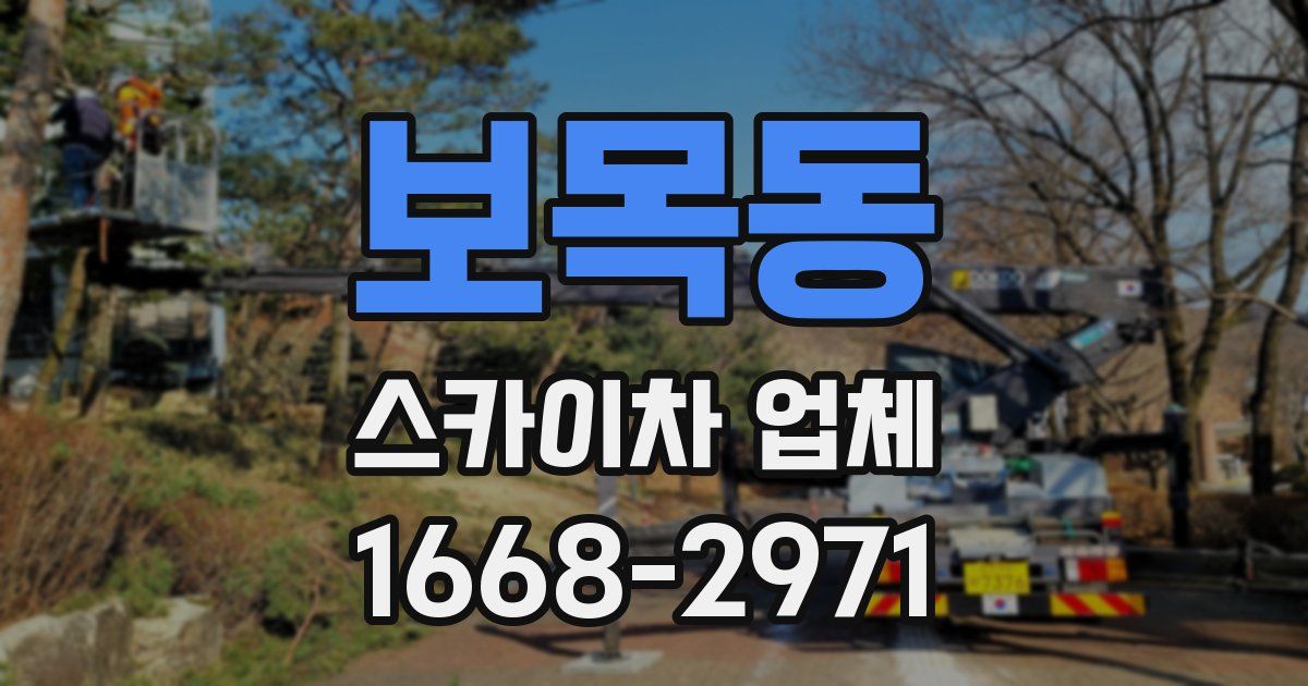 보목동 스카이차 업체
