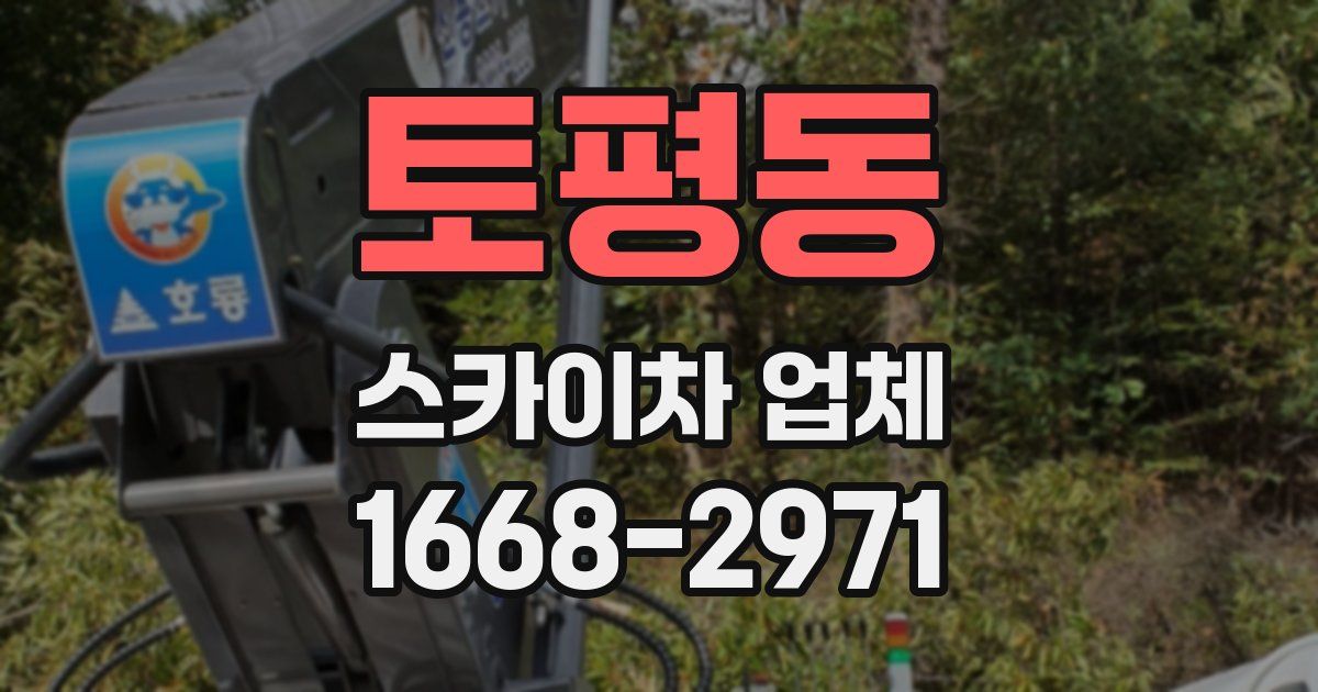 토평동 스카이차 업체