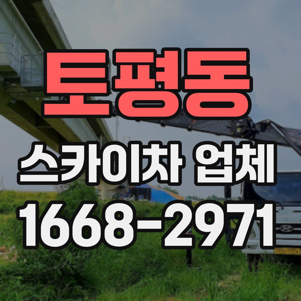 토평동 스카이차 업체