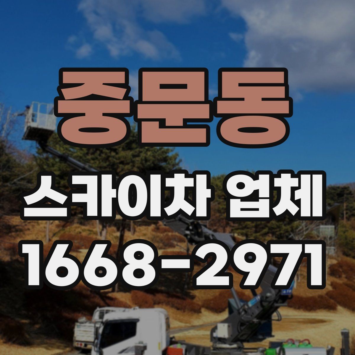 중문동 스카이차 업체 운행 가능 지역 확인하는 법