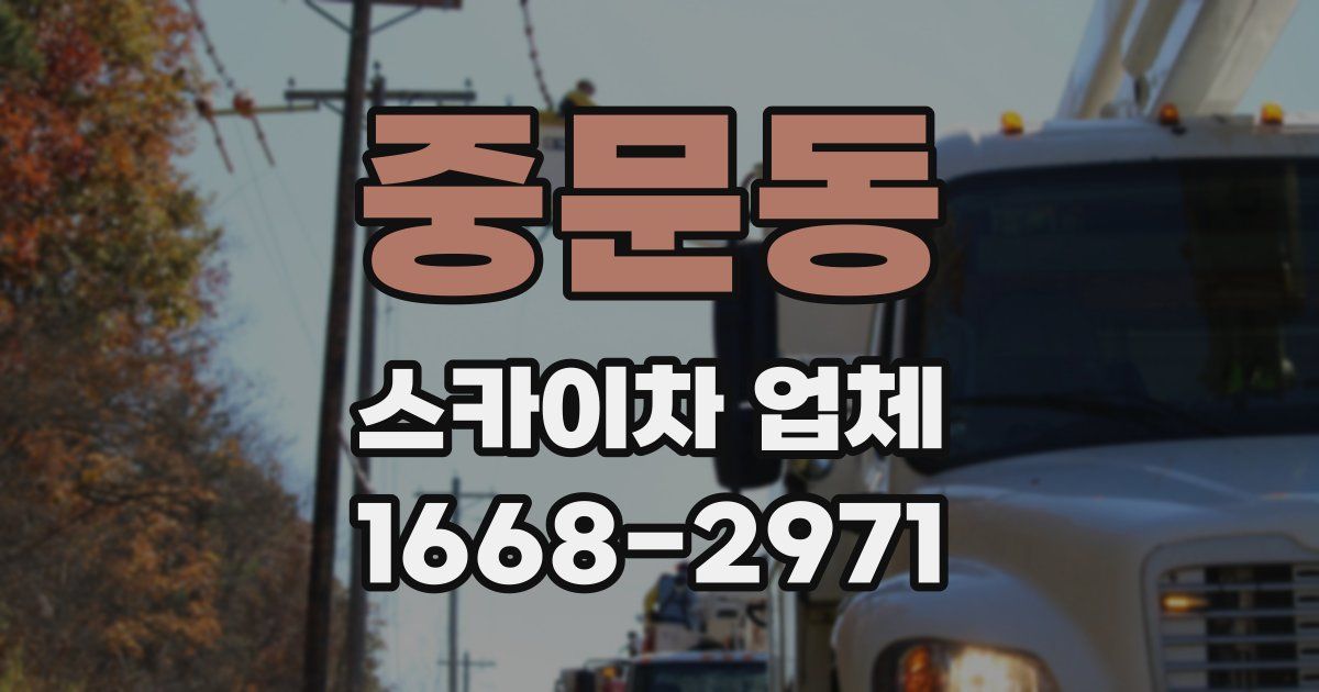중문동 스카이차 업체
