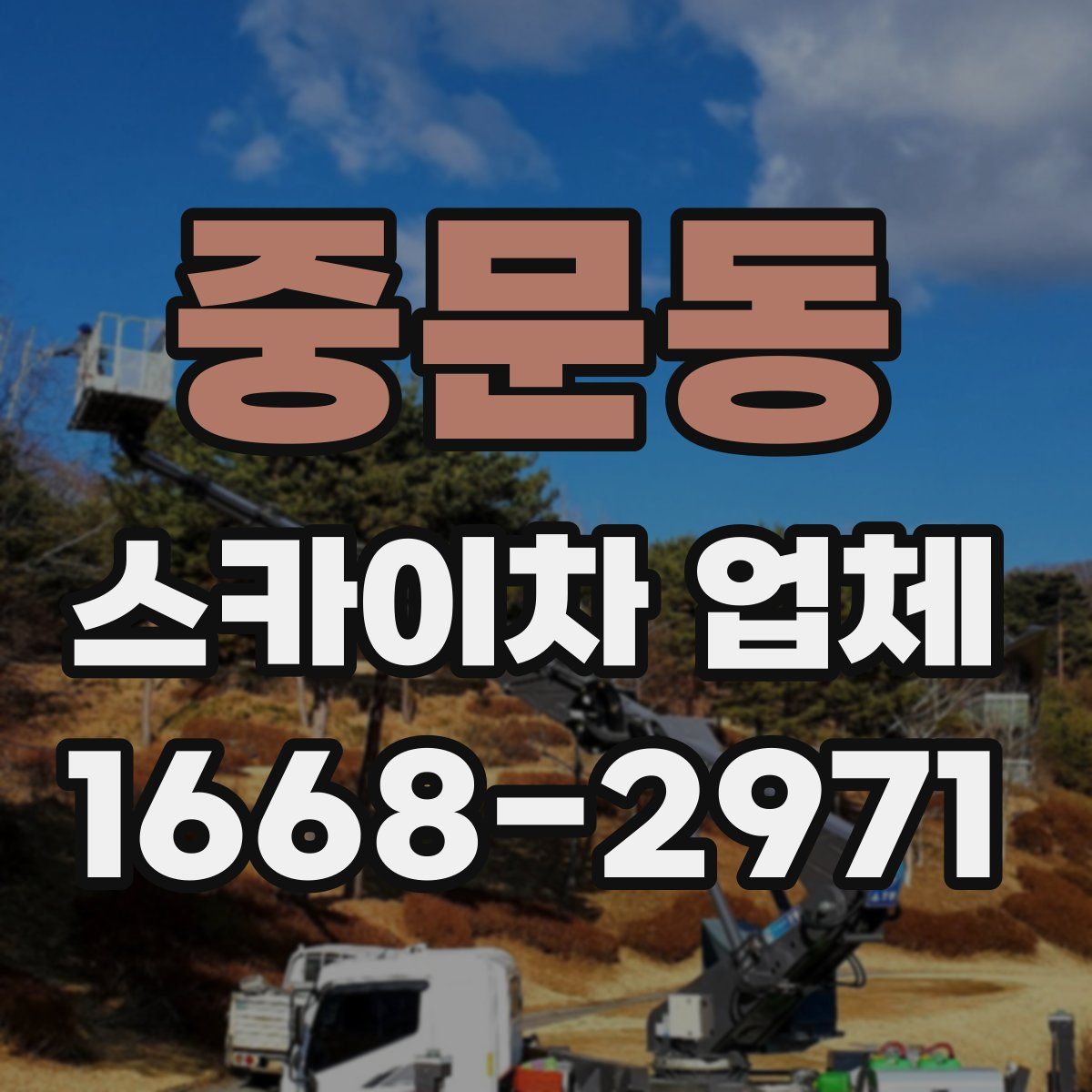 중문동 스카이차 업체
