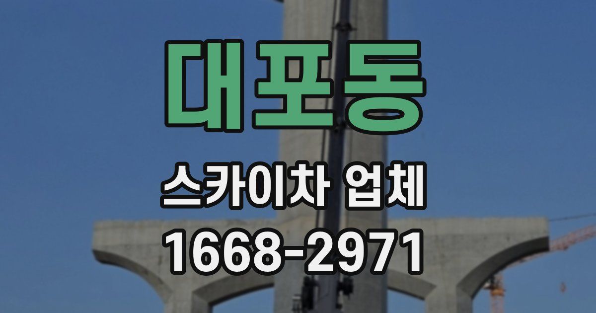 대포동 스카이차 업체