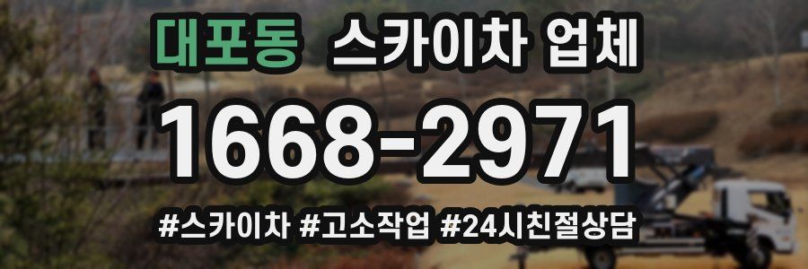대포동 스카이차 업체