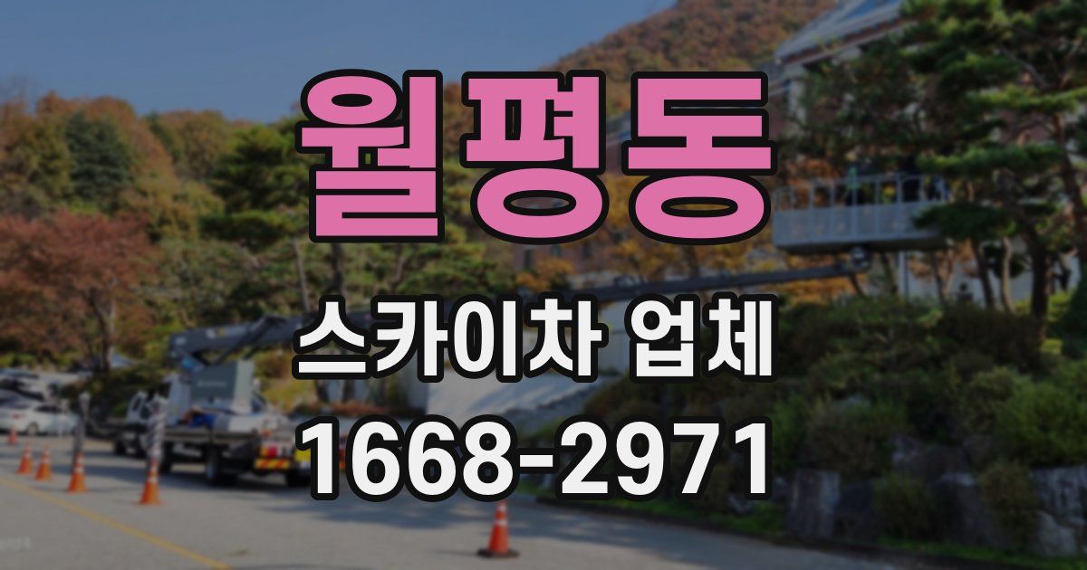 월평동 스카이차 업체