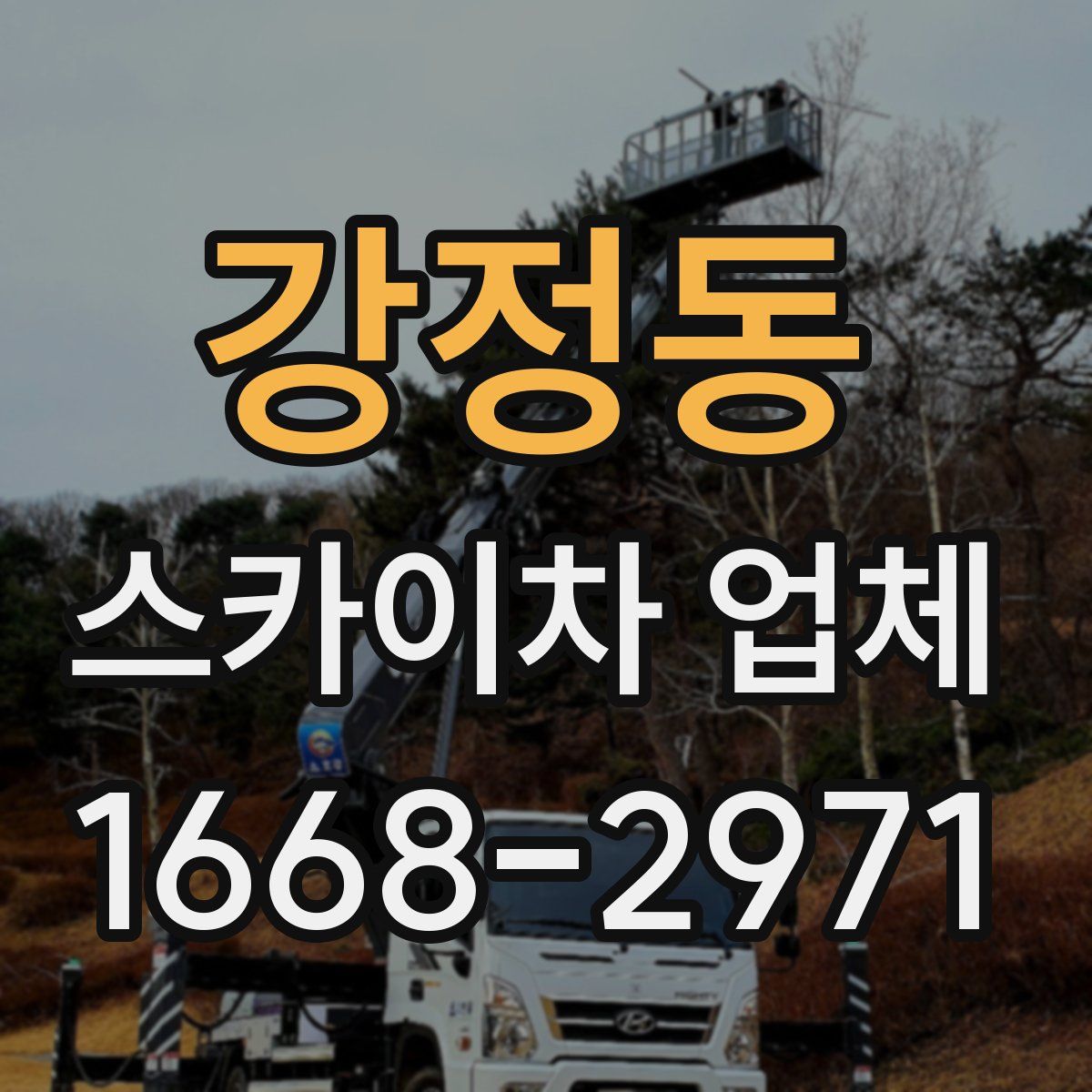 강정동 스카이차 업체
