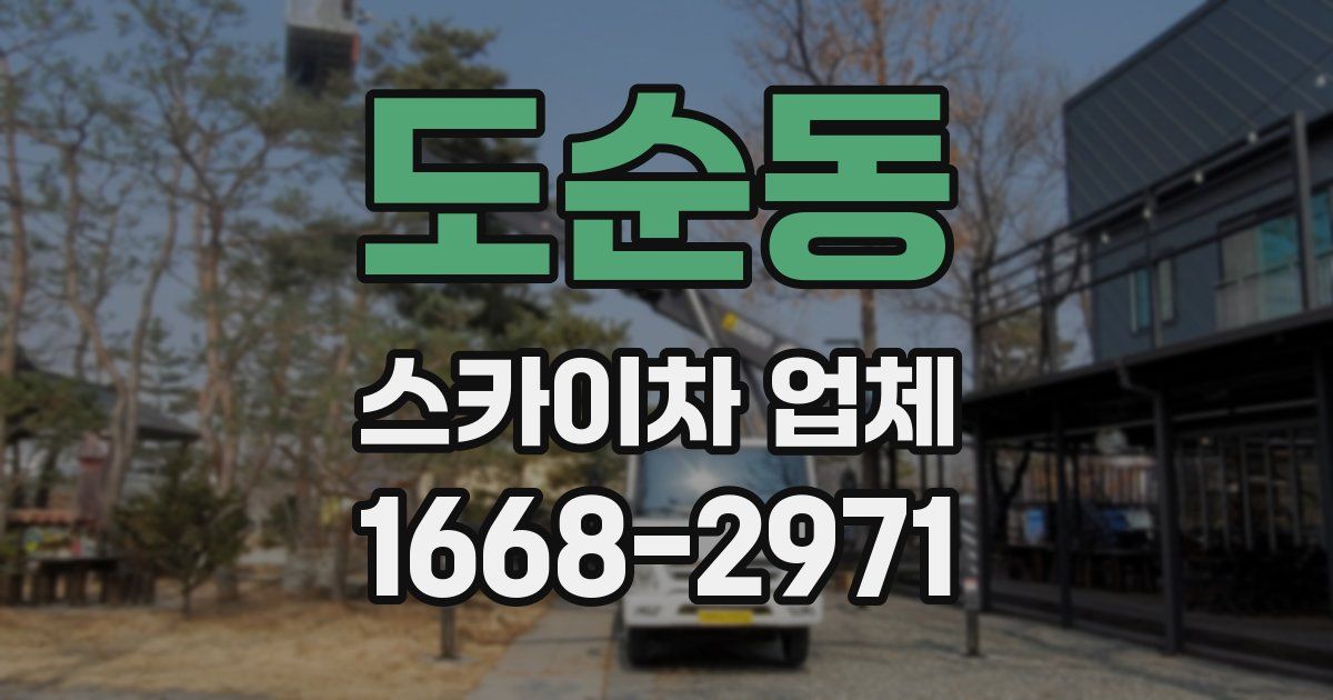 도순동 스카이차 업체