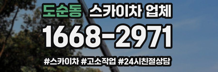 도순동 스카이차 업체