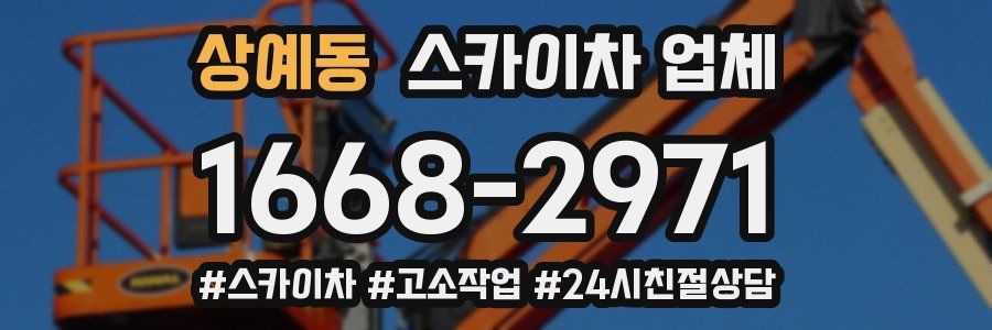 상예동 스카이차 업체