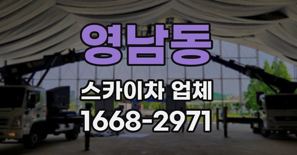 영남동 스카이차 업체