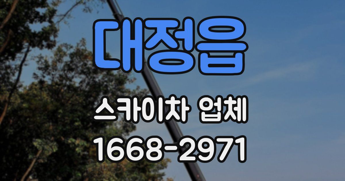 대정읍 스카이차 업체