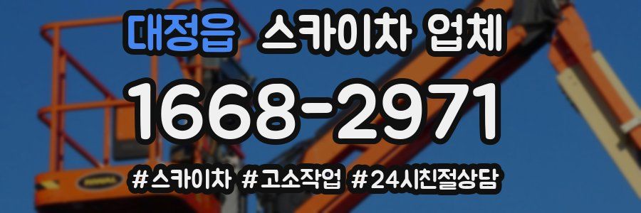대정읍 스카이차 업체