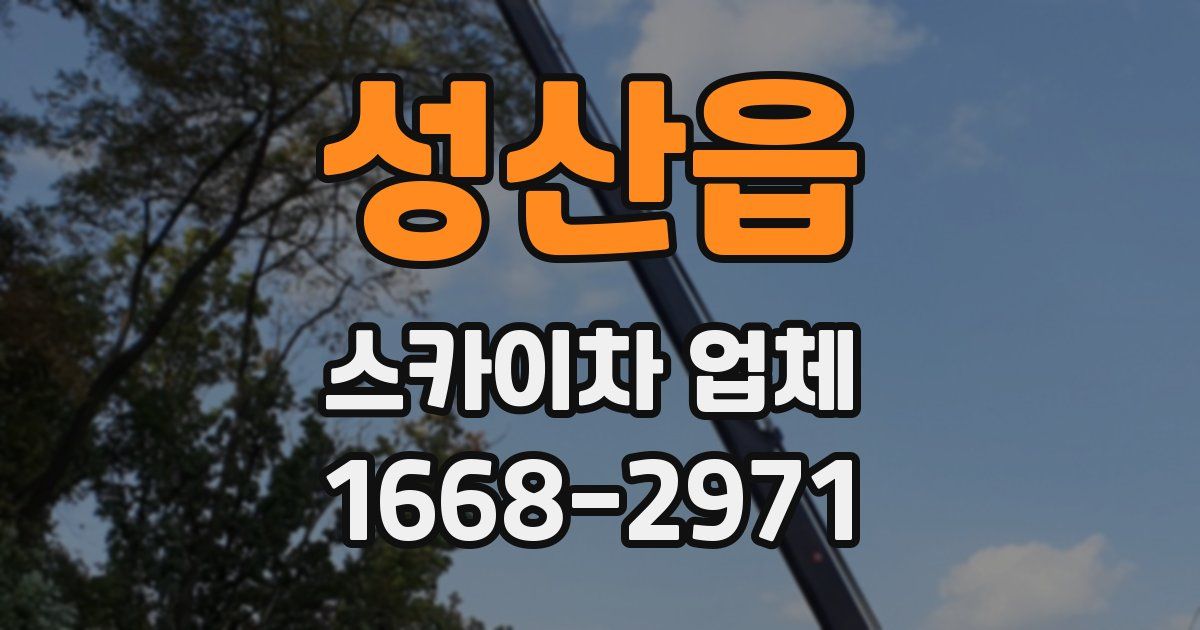 성산읍 스카이차 업체