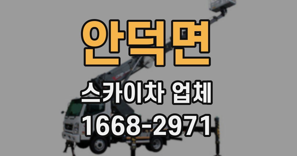안덕면 스카이차 업체