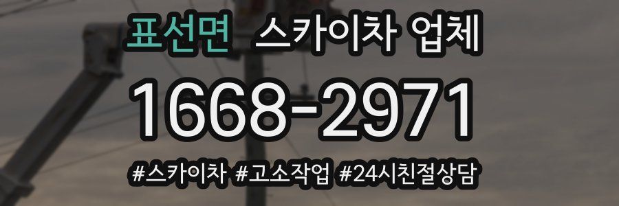 표선면 스카이차 업체