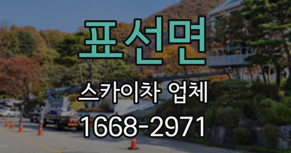 표선면 스카이차 업체
