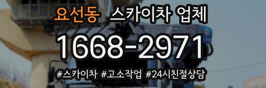요선동 스카이차 업체