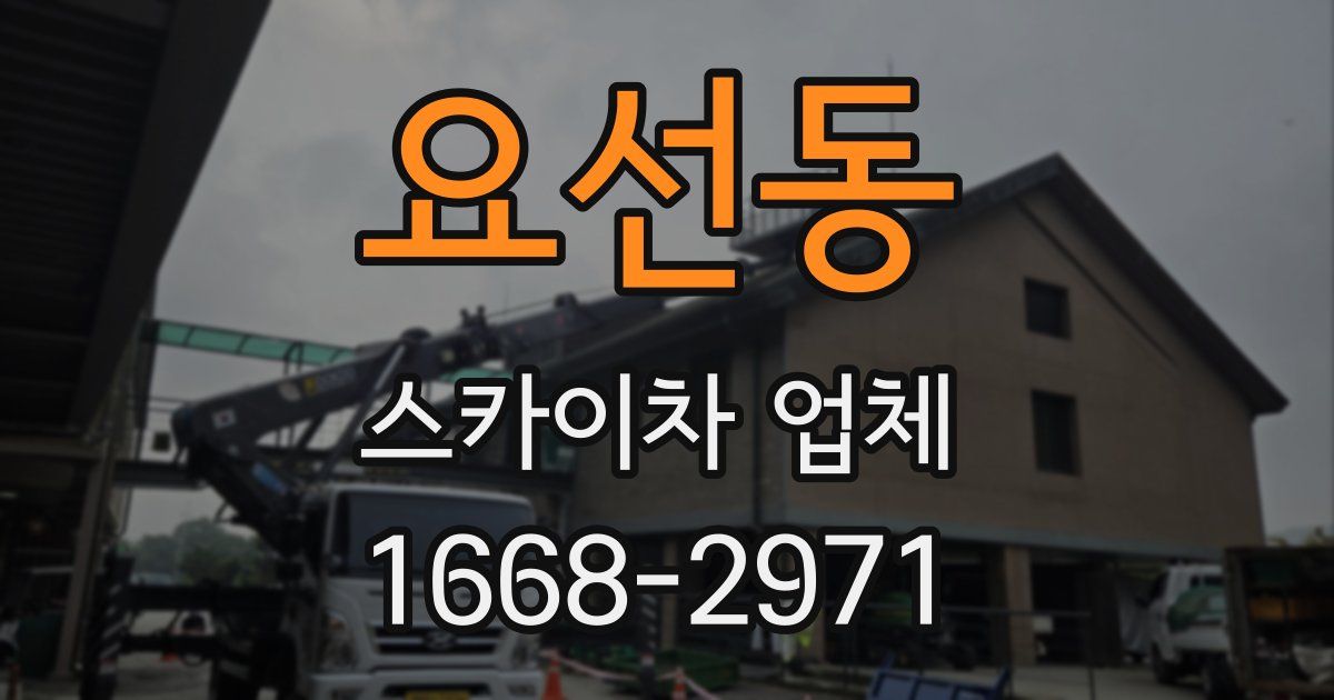 요선동 스카이차 업체