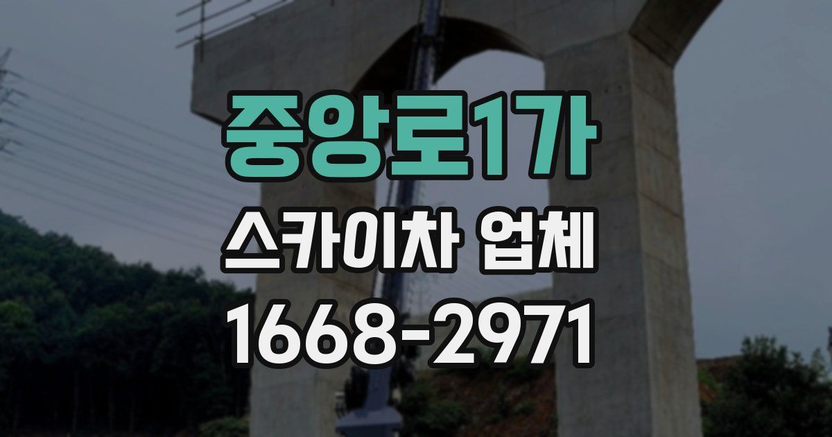 중앙로1가 스카이차 업체