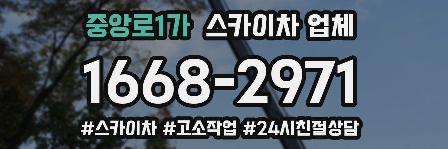 중앙로1가 스카이차 업체