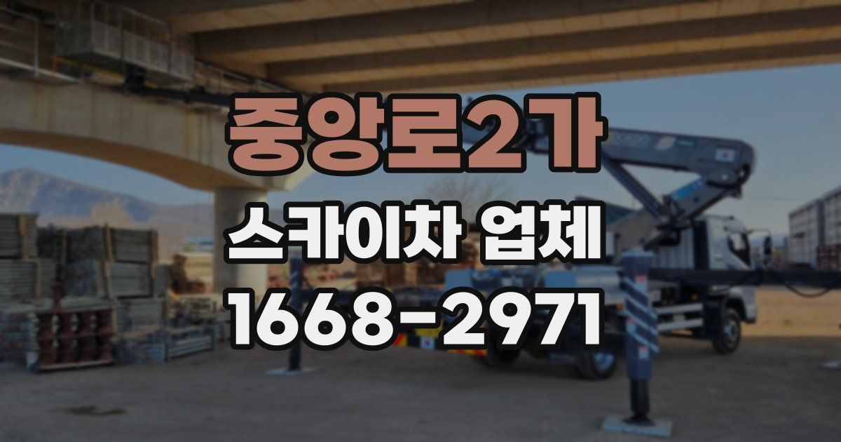 중앙로2가 스카이차 업체