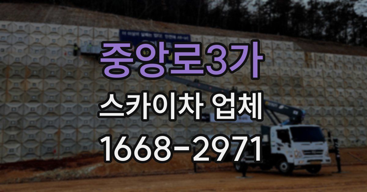 중앙로3가 스카이차 업체