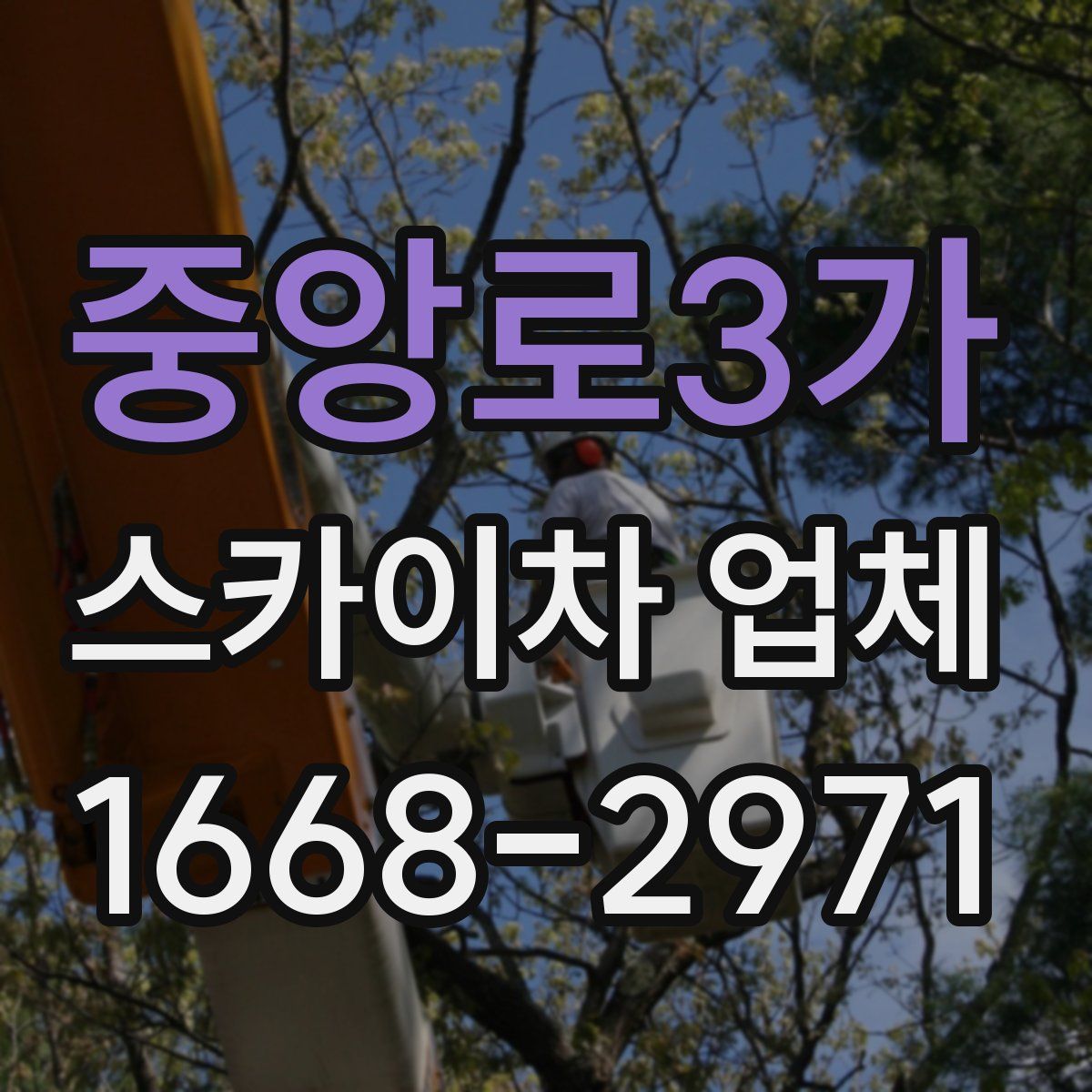 중앙로3가 스카이차 업체