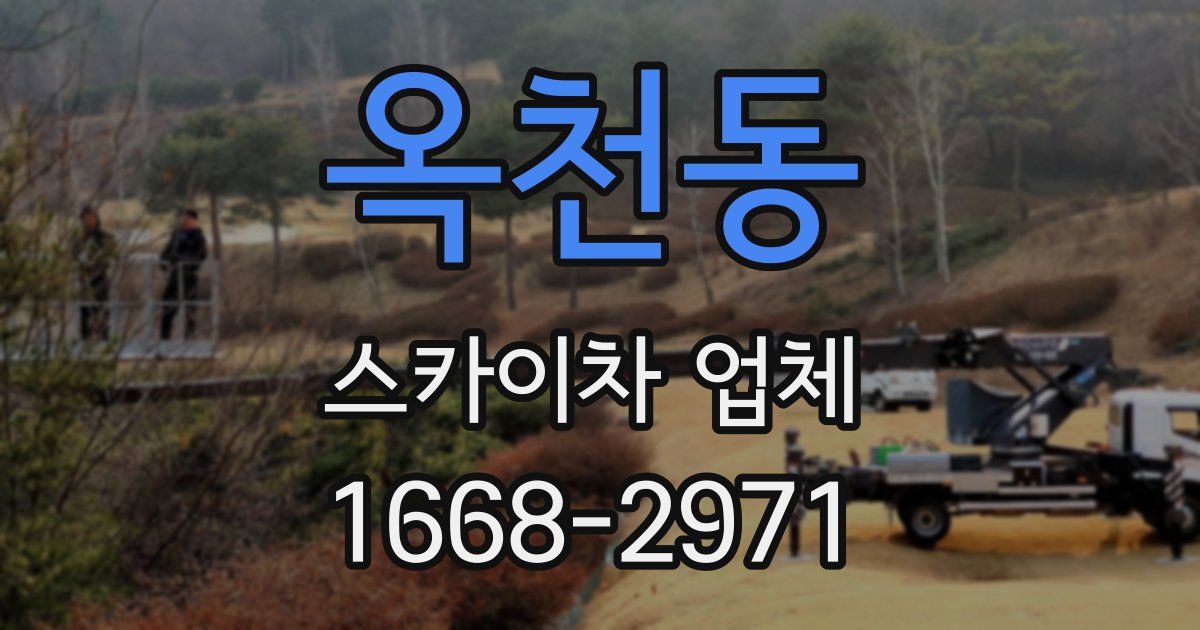옥천동 스카이차 업체